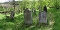 An abandoned Jewish cemetery in RabÃÂ¡tejn nad StÃâ¢edlou in the Czech Republic